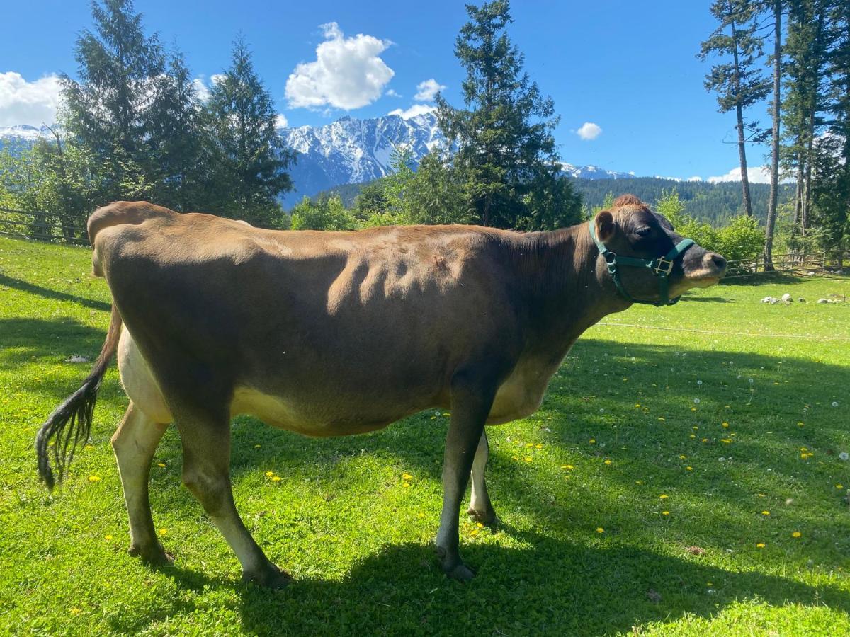 הוילה Mount Currie Sweetwater Lane Farm מראה חיצוני תמונה