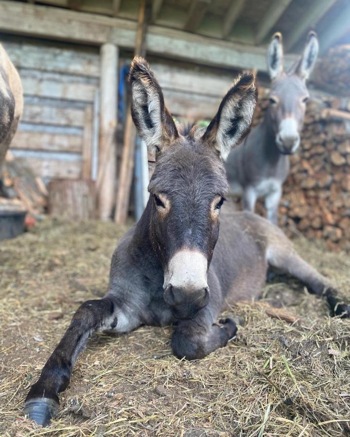 הוילה Mount Currie Sweetwater Lane Farm מראה חיצוני תמונה