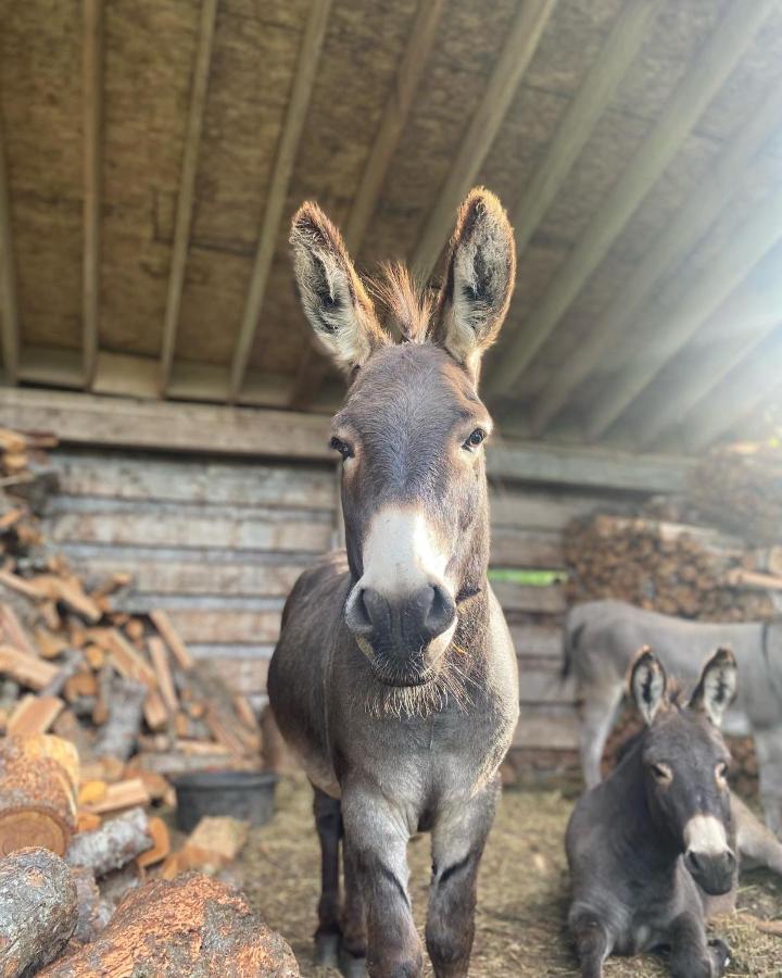 הוילה Mount Currie Sweetwater Lane Farm מראה חיצוני תמונה
