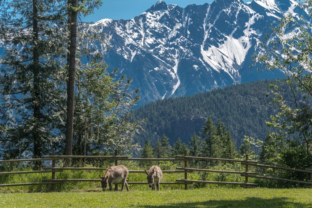 הוילה Mount Currie Sweetwater Lane Farm מראה חיצוני תמונה