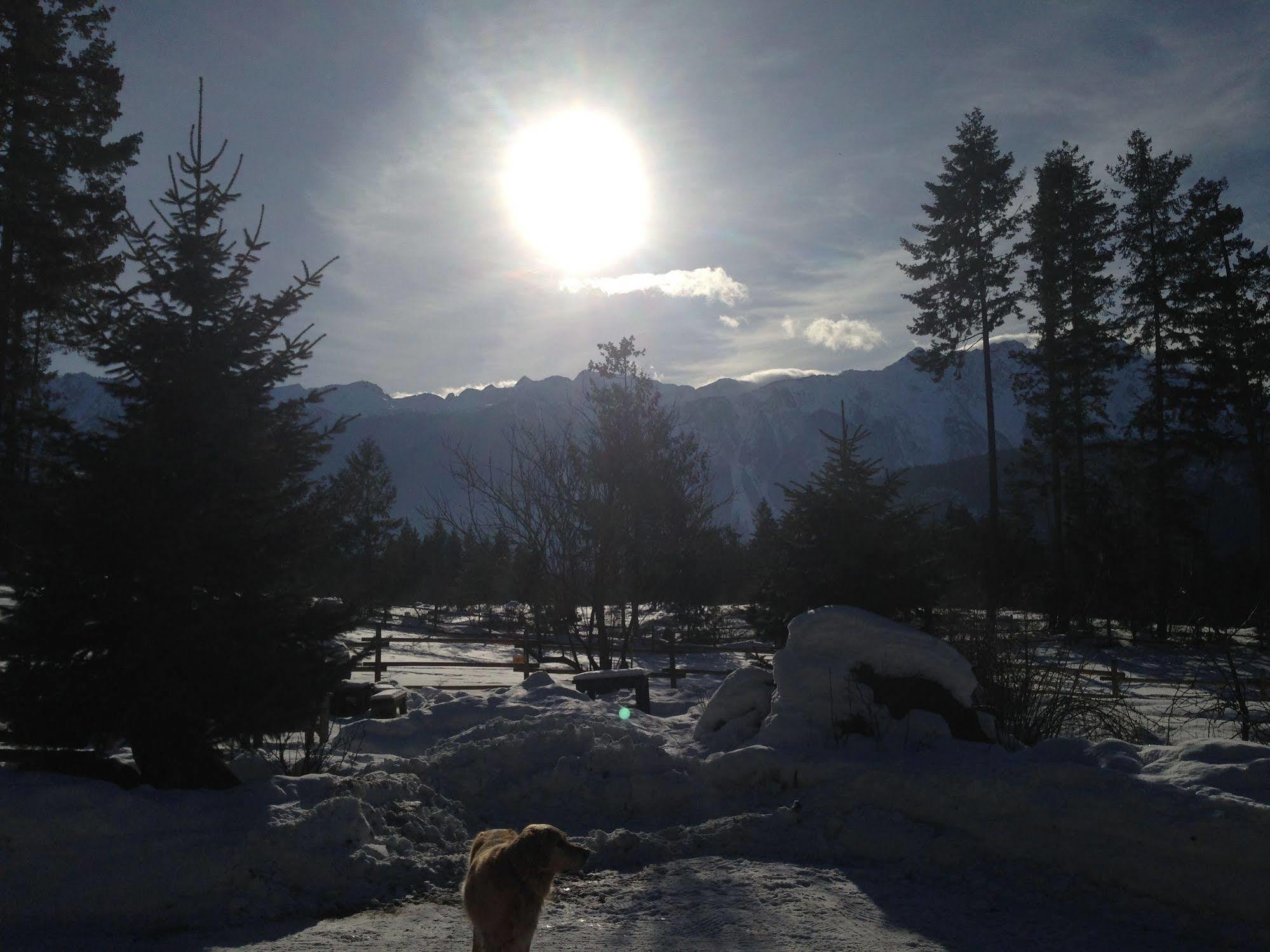 הוילה Mount Currie Sweetwater Lane Farm מראה חיצוני תמונה