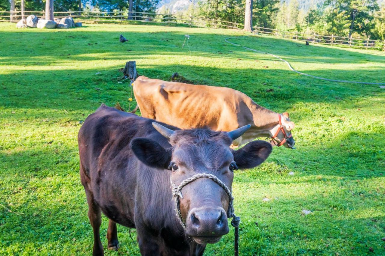הוילה Mount Currie Sweetwater Lane Farm מראה חיצוני תמונה